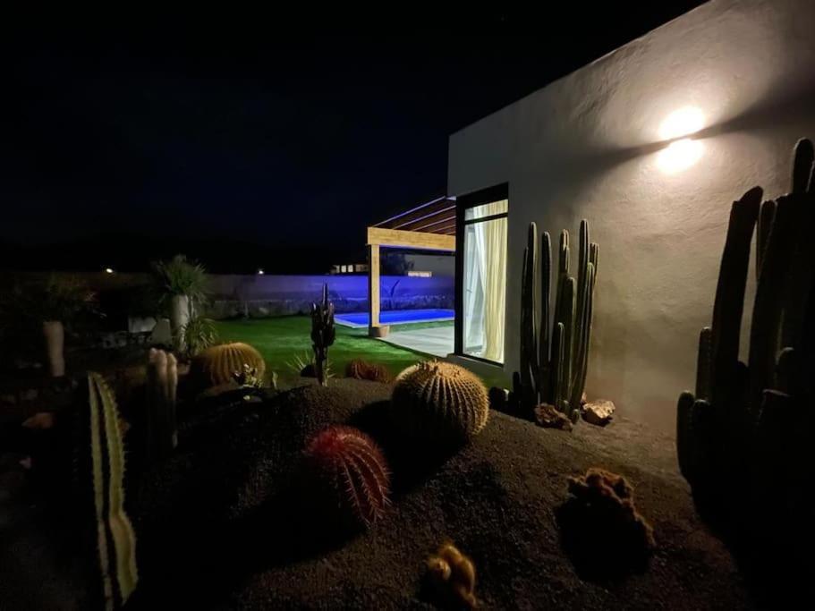 Bungalow + Piscina Independiente لا أوليفا المظهر الخارجي الصورة