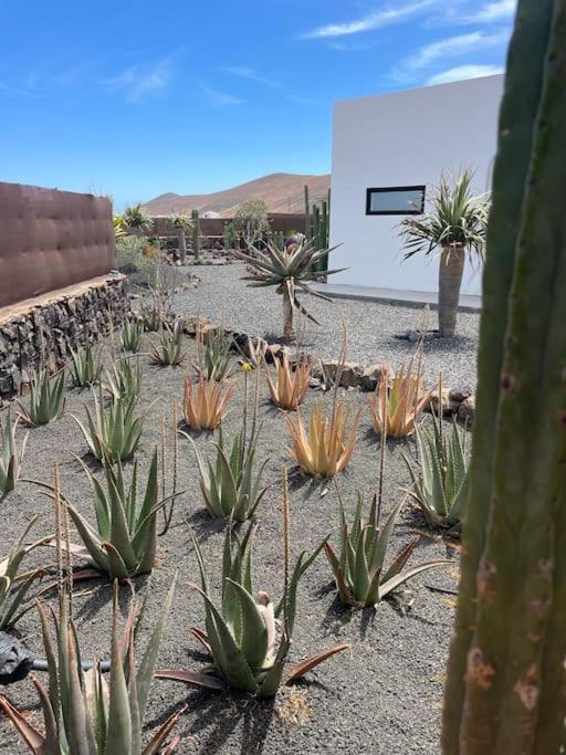 Bungalow + Piscina Independiente لا أوليفا المظهر الخارجي الصورة